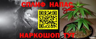 ECSTASY Ставрополь