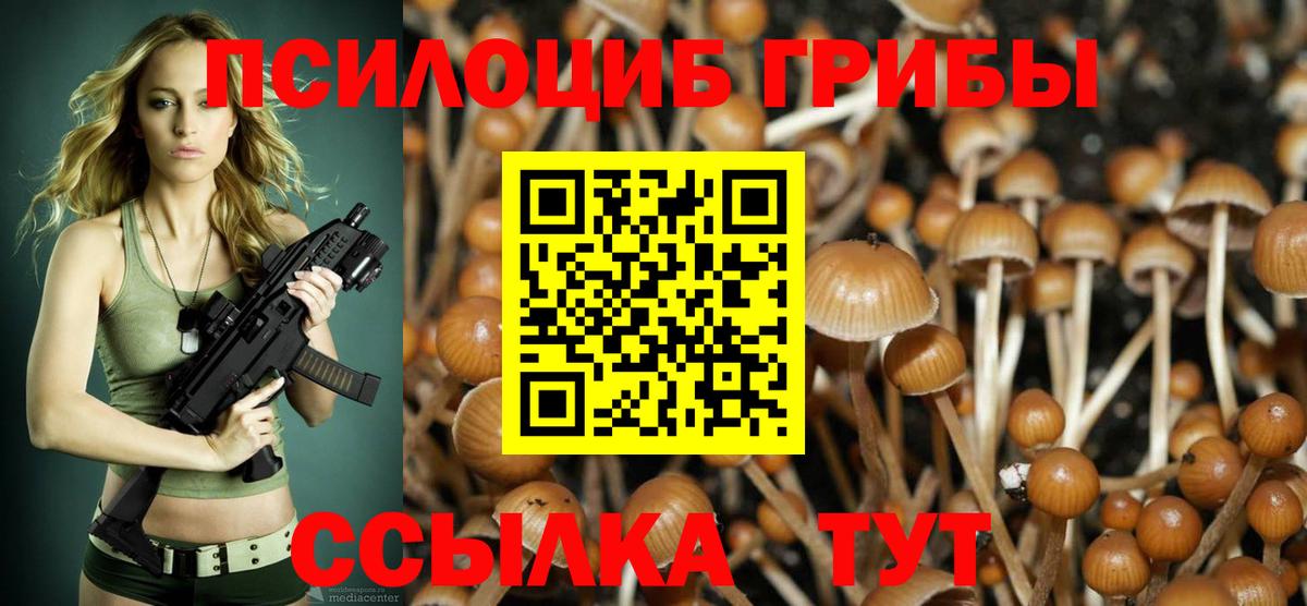Орехово-Зуево  Галлюциногенные грибы Magic Shrooms  купить наркотик  Псилоцибиновые грибы MAGIC MUSHROOMS  Вход с VPN 